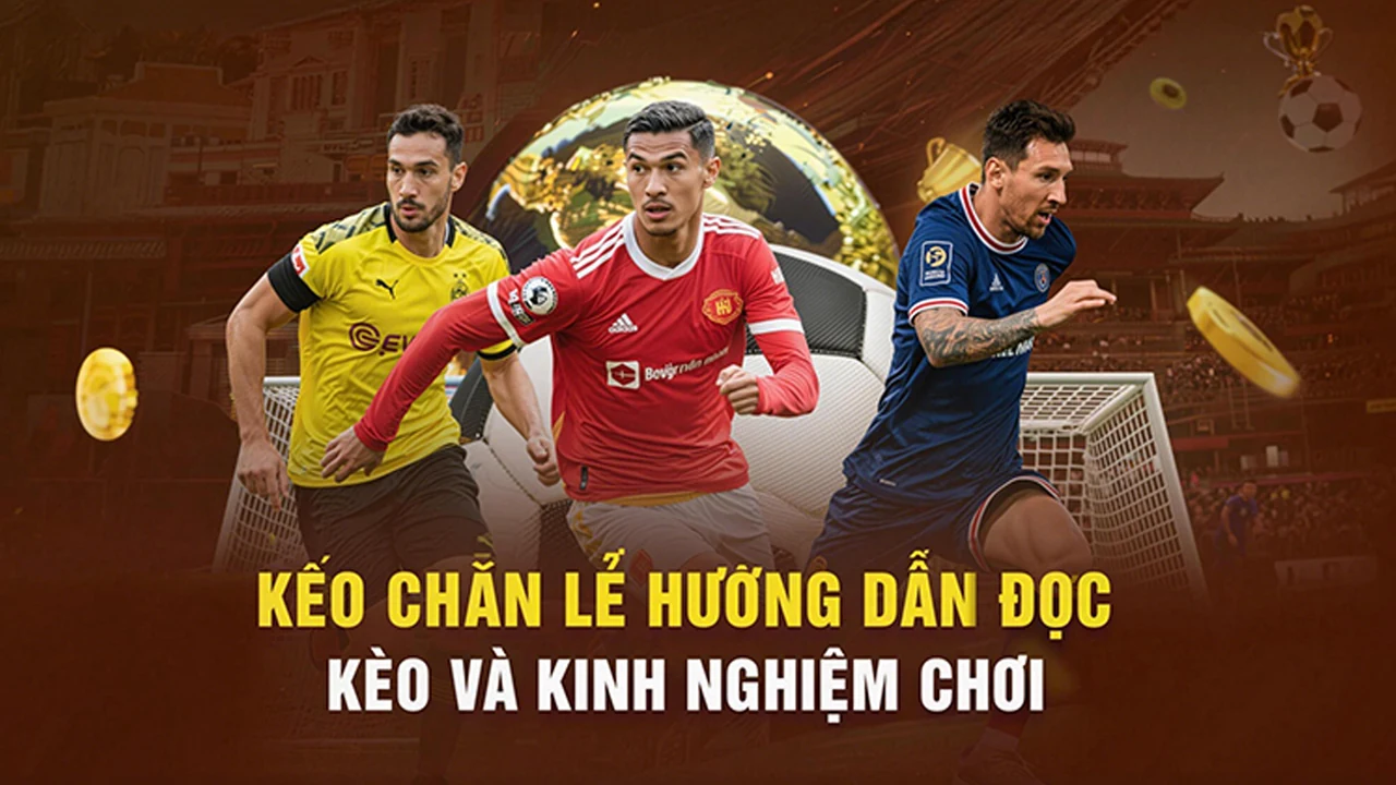 789BET88: Kinh nghiệm xem điều kiện thể thao rõ ràng hơn